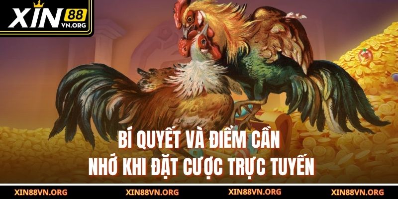 Bí quyết và điểm cần nhớ khi đặt cược trực tuyến