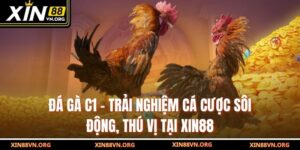 Đá Gà C1 – Trải Nghiệm Cá Cược Sôi Động, Thú Vị Tại Xin88