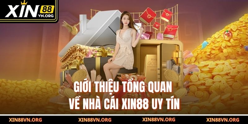 Giới thiệu tổng quan về nhà cái Xin88 uy tín
