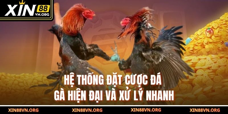 Hệ thống đặt cược đá gà hiện đại và xử lý nhanh