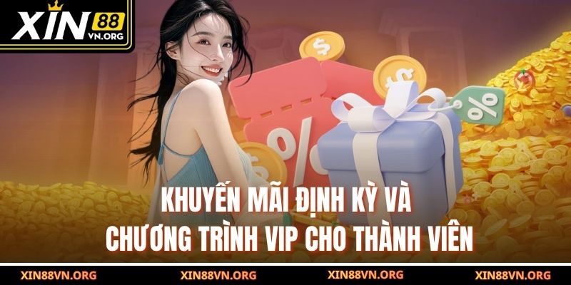 Khuyến mãi định kỳ và chương trình VIP cho thành viên