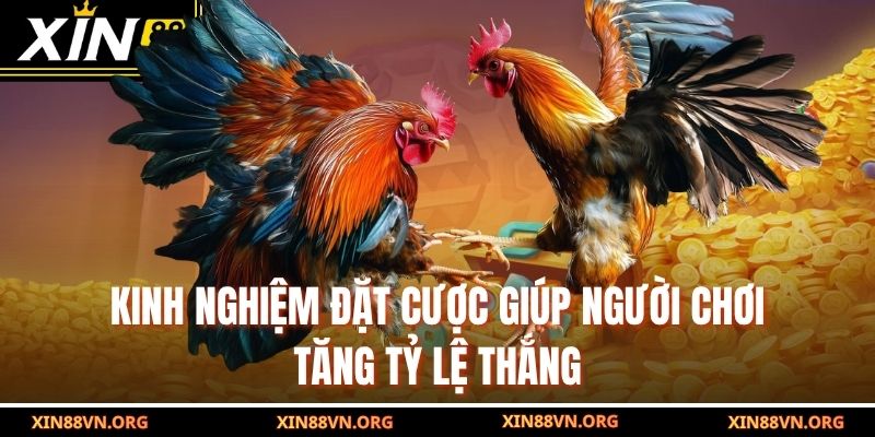 Kinh nghiệm đặt cược giúp người chơi tăng tỷ lệ thắng
