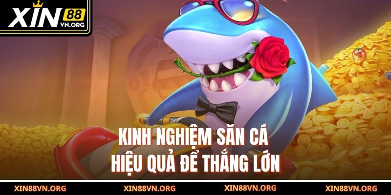Kinh nghiệm săn cá hiệu quả để thắng lớn