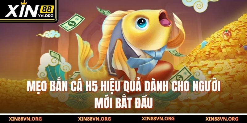 Mẹo bắn cá H5 hiệu quả dành cho người mới bắt đầu