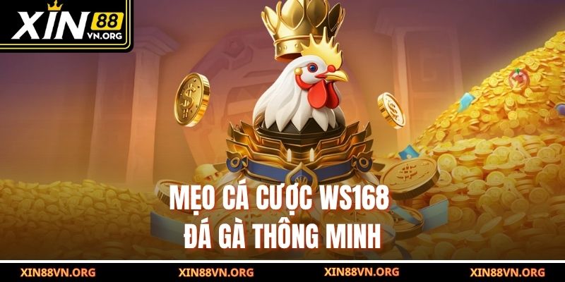 Mẹo cá cược WS168 đá thông minh