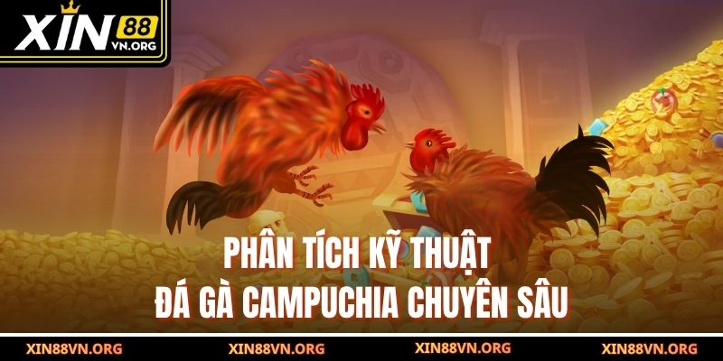 Phân tích kỹ thuật đá gà Campuchia chuyên sâu