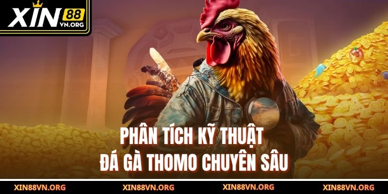 Phân tích kỹ thuật đá gà Thomo chuyên sâu