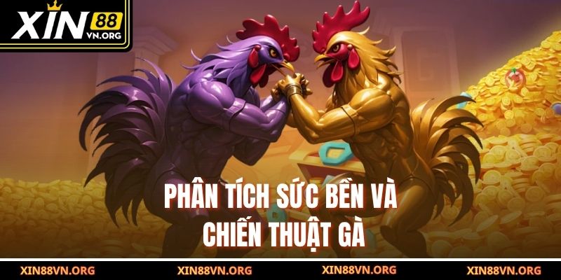 Phân tích sức bền và chiến thuật gà