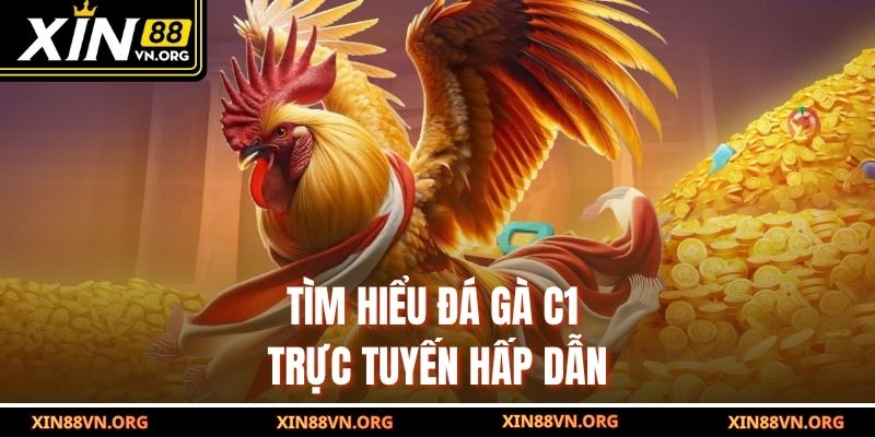 Tìm hiểu đá gà C1 trực tuyến hấp dẫn