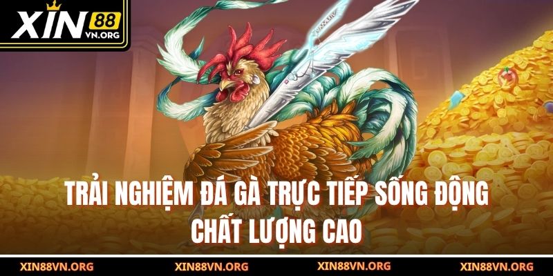 Trải nghiệm đá gà trực tiếp sống động chất lượng cao