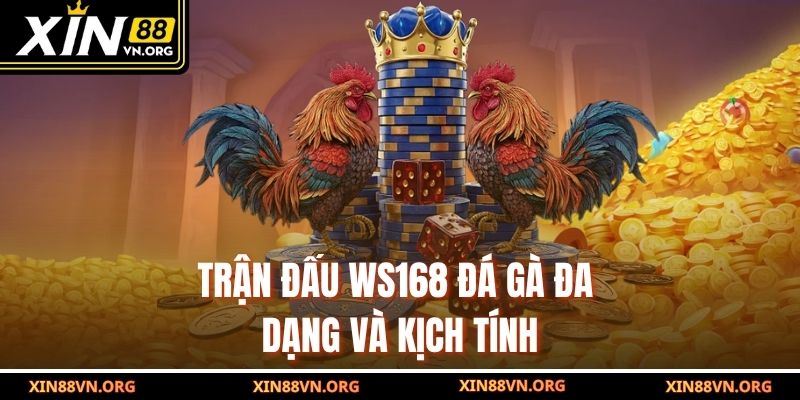Trận đấu WS168 đá gà đa dạng và kịch tính